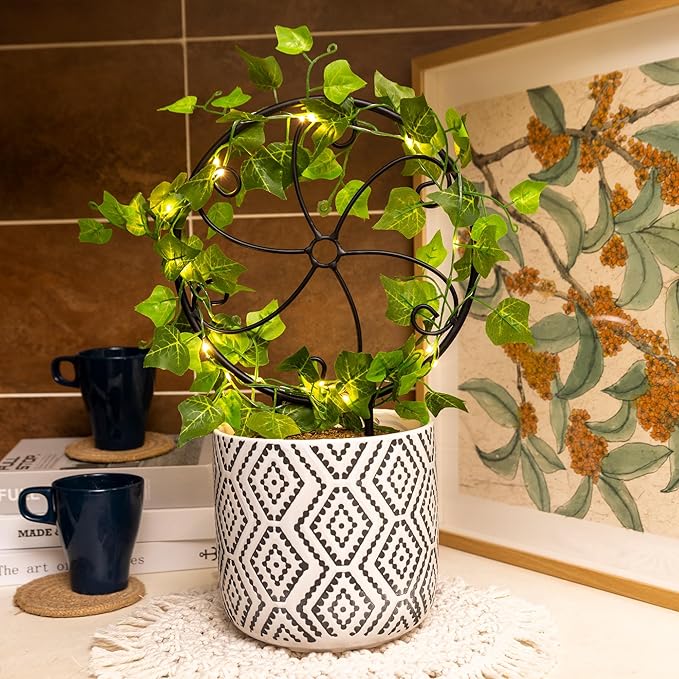 2 Pcs 14in Indoor Metal Garden Circle Plant Trellis for Houseplant Climbing Pot Plants, Black (Style A)
