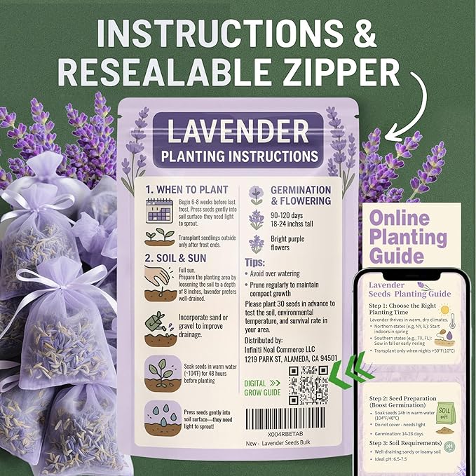 3800+ Lavender Seeds for Planting Outdoor - Non GMO Premium English Lavender Seeds for 2026, Lavender Plants or Dried Flowers, Wildflower Seed, DIY Essential Oils Perfect for Home Gardeners, Gifts