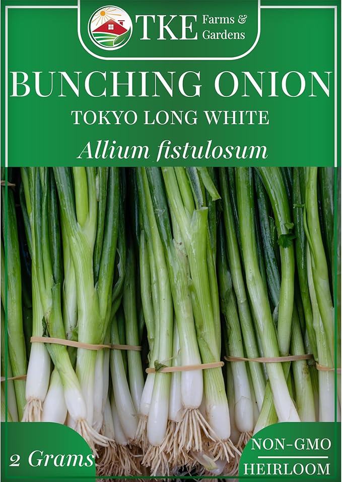 TKE Farms & Gardens - Tokyo Long White Bunching Onion Seeds, 500+ Non-GMO Heirloom Seeds, Fast-Growing, Perfect for Salads & Stir-Fries, Grow in Gardens & Containers, Instructions Included