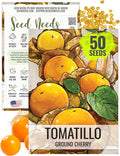 Seed Needs Ground Cherry Tomatillo Seeds for Planting - Non-GMO, Heirloom & Untreated Physalis pruinosa - Edible Cape Gooseberry/Golden Berries to Grow an Outdoor Vegetable Garden (1 Pack)