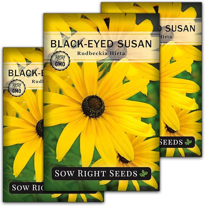 Sow Right Seeds - Black Eyed Susan Flower Seeds for Planting - Non-GMO Heirloom Seeds Packet to Plant a Home Garden - Perennial Wildflowers Attract Pollinators to Yard - Yellow with White Centers (3)