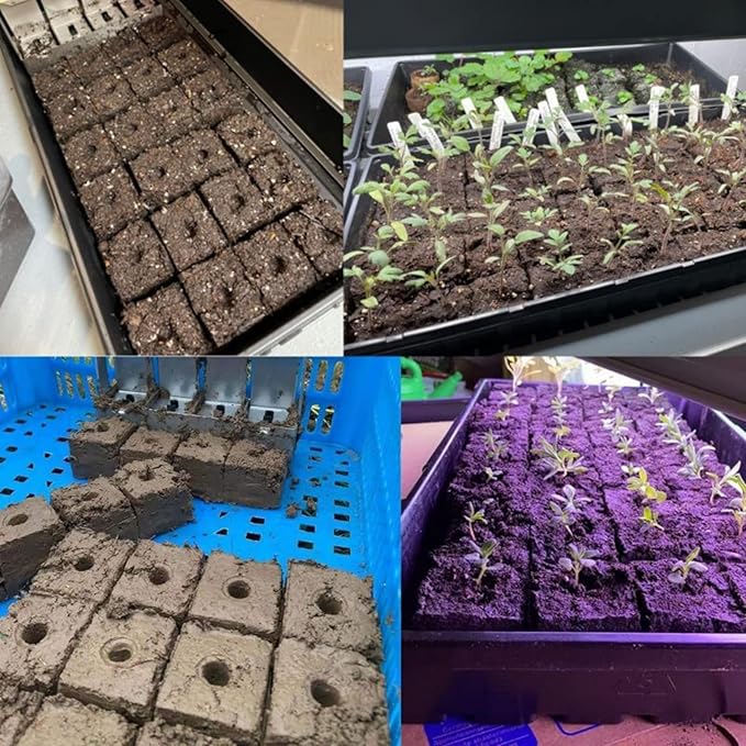 Soil Blocker with A Seedling Tray 8 Cell 2 Inch Soil Block Maker Handheld Block Maker with 3 Sizes Seed Pins Garden Blocking Tools for Seedings, Cuttings, Greenhouses