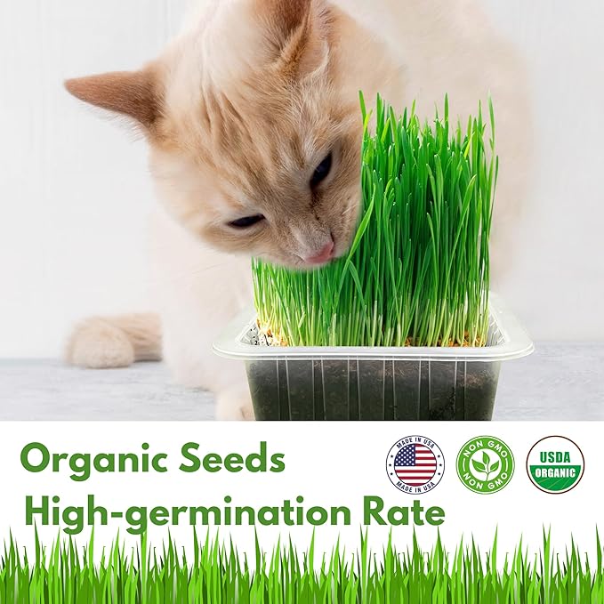 Environet Cat Grass Kit for Indoor Cat, Organic Grass Growing Kit with Seeds, Soil and Planting Tools, Quick Germination, Perfect for Beginners, 3-Pack Plastic Pots