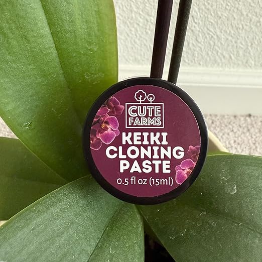Keiki Cloning Paste (0.5oz) for Orchids & Houseplants - 2X Size - Create New Growth with Cute Farms Hormone Gel