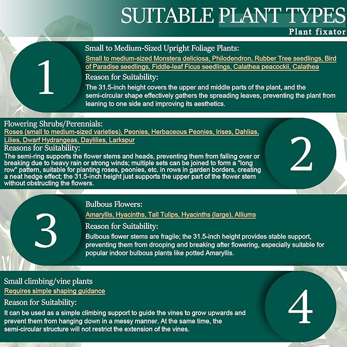 6-Pack 31.5” Plant Support Stakes, Steel Plant Cage & Peony Tomato Hydrangea Cage, Garden Stakes for Outdoor Plants, Heavy-Duty Plant Stakes, 16.7” Support + 14.8” Extension Tubes