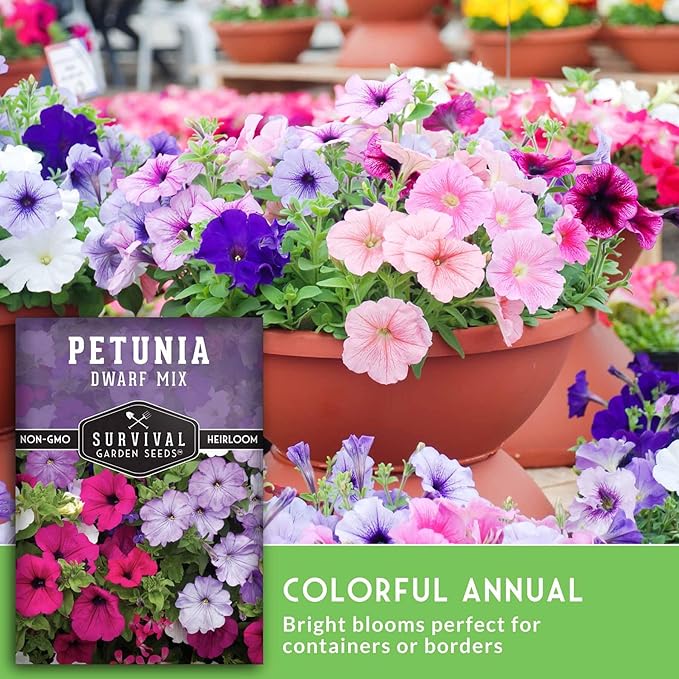Dwarf Petunia Seed Mix for Planting - Plant & Grow Colorful Flowers to Attract Pollinators to Your Home Garden - Non-GMO Heirloom Variety - Survival Garden Seeds (5 Packs)