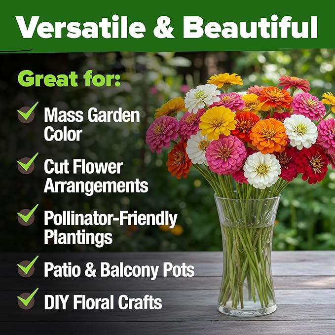 HOME GROWN Dwarf Zinnia Seeds Mix - 600 Pumila Zinnia Seeds for 2026 (0.6g) | Zinnia Flower Seeds for Planting Outdoors | Colorful Cut Annual Flowers for Summer Gardens & Containers (Zinnia elegans)