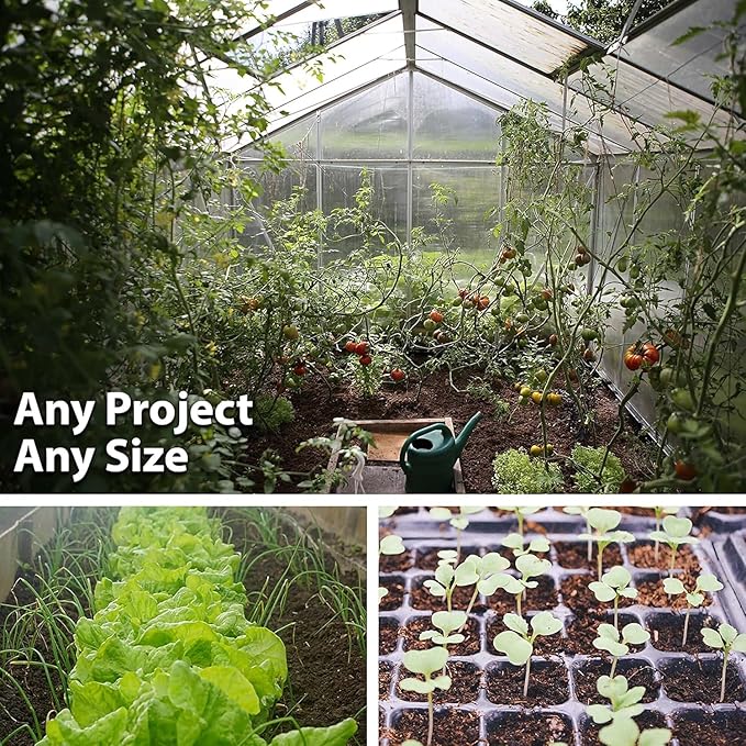 Organic Garden Sorrel 1 Oz Seeds – Non-GMO, Heirloom – 45 Days to Maturity – Mild Blonde-Green Leaves – Fast Growing Salad Green – Cold Hardy Perennial – Open-Pollinated – USA Grown