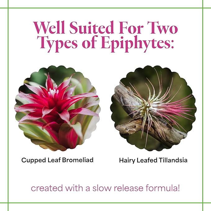 Grow More Bromeliad Tillandsia Food (17-8-22) - 1.25lbs of Water Soluble Air Plant Fertilizer - Slow Release Fertilizer for Outdoor & Indoor Plants - Air Plant Food for Vibrant Growth & Blooms
