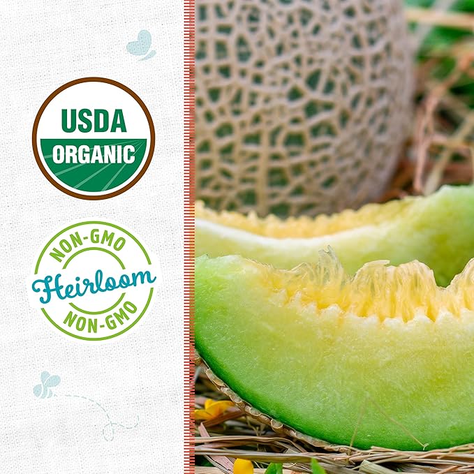 Back to The Roots 100% Organic Seed Packet - Honeydew Melon 'Green Flesh' 800mg