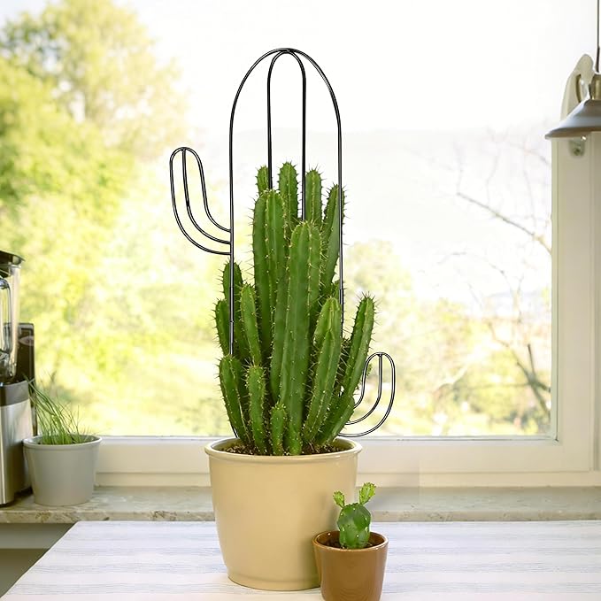 Plant Trellis for Climbing Plants Indoor, Heay Duty Cactus Trellis for Potted Plants, Pothos Hoya Monstera Metal Houseplant Climbing Support for Garden Balcony, 2P