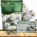 Outsidepride Shasta Daisy Chrysanthemum Seeds - 5000 Pcs. Perennial Deer Proof, Drought Tolerant, Wildflower Seeds for Pollinator Gardens, Cut Flowers & Water-Efficient, Low Maintenance Landscaping