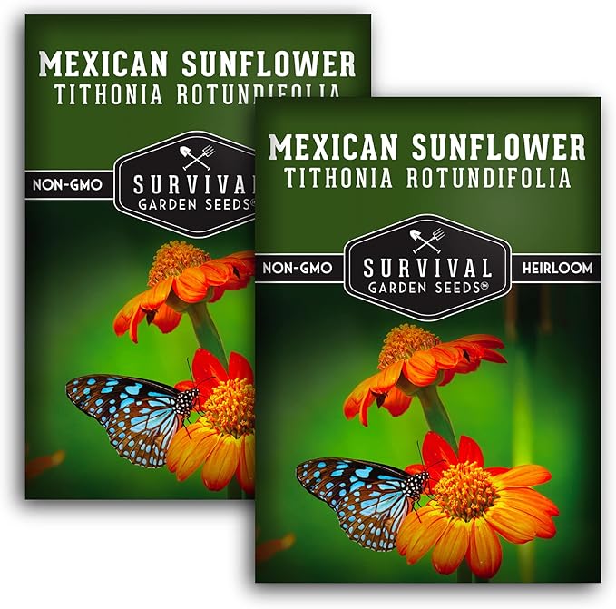 Mexican Sunflower Seeds for Planting – Tall Orange Tithonia Rotundifolia Pollinator Flower, Heirloom Non GMO Annual Flower Seed to Plant - Survival Garden Seeds (2 Packs)
