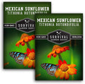 Mexican Sunflower Seeds for Planting – Tall Orange Tithonia Rotundifolia Pollinator Flower, Heirloom Non GMO Annual Flower Seed to Plant - Survival Garden Seeds (2 Packs)