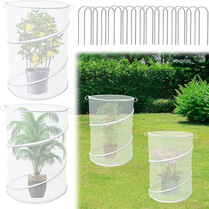 4 Pack Pop up Plant Covers Tent from Animals, 20"H X 13"D Insect Barrier Mesh Plant Guard Cover Net White Garden Plant Protectors Mini Greenhouse Plant Protection Cage with Stakes for Outdoor Plants