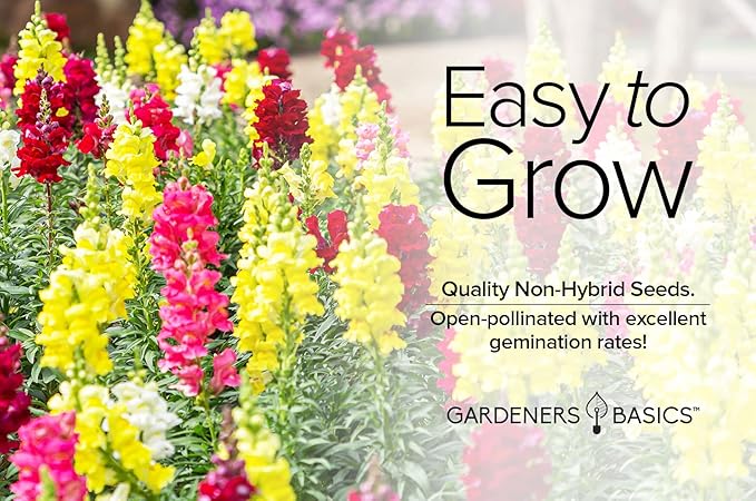 Gardeners Basics, Snapdragon Seeds for Planting (Maximum Mix Snap Dragon) Annual Flower Heirloom, Non-GMO Variety- 400mg Seeds Great for Summer Seeds for Gardening Flowers Gardens
