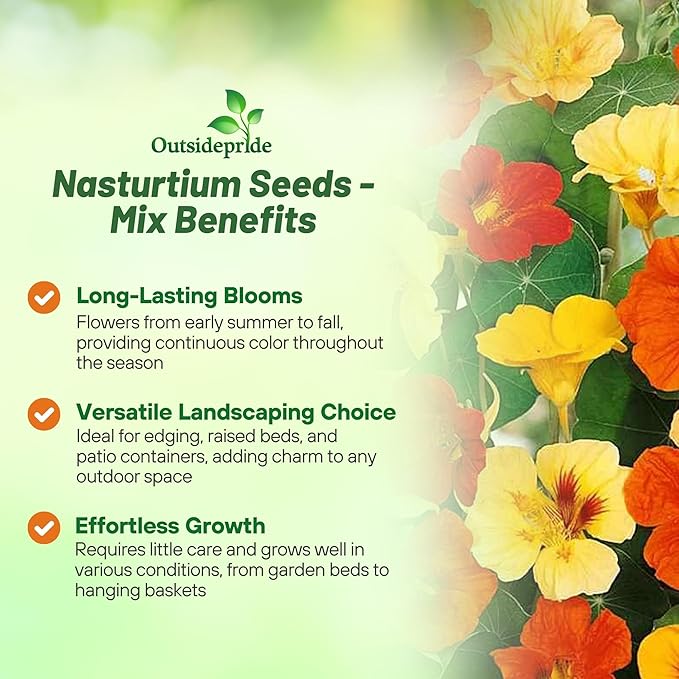 Outsidepride Jewel Mix Nasturtium Seeds - 1/4 lb. Annual, Easy to Grow & Versatile, Flower Seeds for Planting Vibrant Blooms, Ideal for Gardens, Borders, and Pollinator Gardens