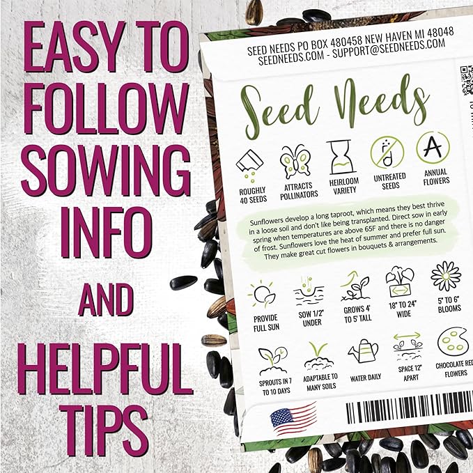 Seed Needs Sunflower Seeds for Planting Chocolate Sunflowers - Heirloom & Open Pollinated Flower Seed to Plant & Grow an Outdoor Wildflower Butterfly Garden (1 Pack)