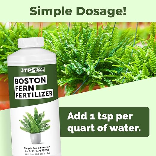 Boston Fern Fertilizer – Liquid Plant Food for Fuller Fronds, Rich Green Color & Healthy New Growth, 32 oz