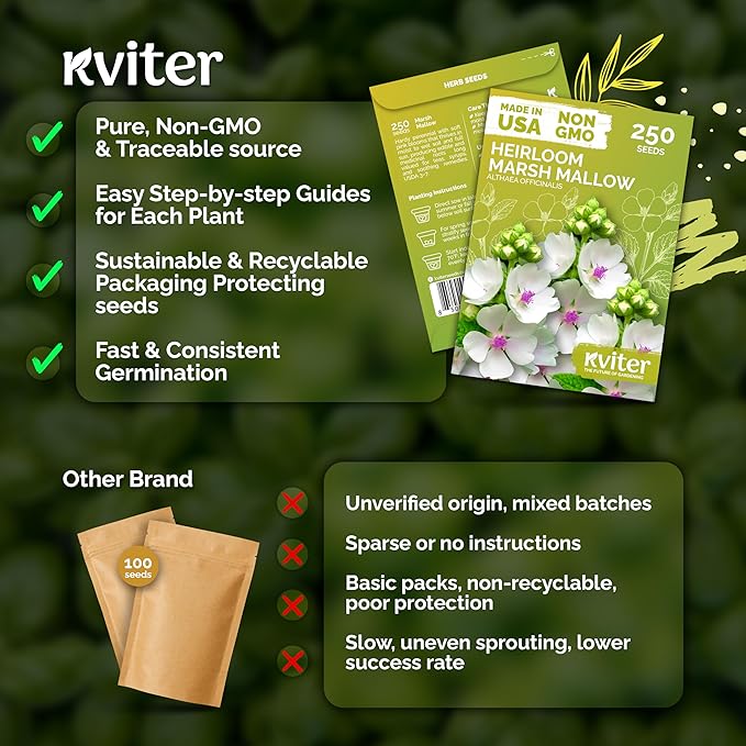 KVITER 250 Marsh Mallow Seeds for Planting (Althaea officinalis) – White Mallow Medicinal Seed Packets, Grow Heirloom Marshmallow Root Herb – Perennial Write Flower Garden Seeds Indoor & Outdoor