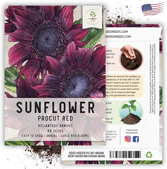 Seed Needs Procut Red Sunflower Seeds for Planting Burgundy Sunflowers - F1 Hybrid Flowers Great for Cutting in Bouquets & Floral Arrangements (5 Packs)