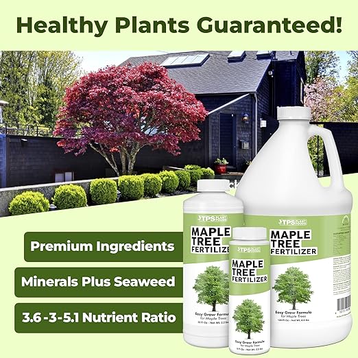 Maple Tree Fertilizer – Liquid Plant Food for Vibrant Color, Stronger Roots & Healthy Growth, 1 Gallon