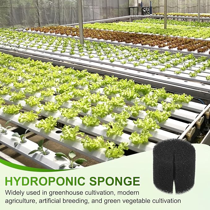 30-Pack Hydroponics Sponges, 1.26 Inch Growing Media Cylindrical Sponges for Planting Gardening Tool/Grow Seedlings/Home Vegetable Flower, Soilless Cultivation Seedling [Black]