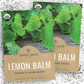 Sweet Yards Seed Co. Organic Lemon Balm – Two Seed Packets! – Approx. 682 Open Pollinated Non-GMO Herb Seeds