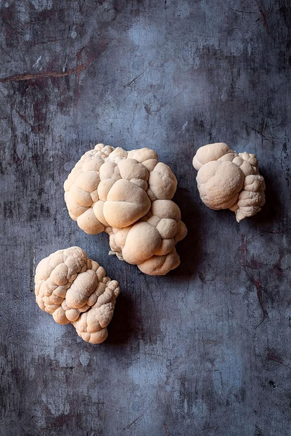 Organic Lion's Mane Mushroom Growing Kit - Indoor Gardening Kit for Fresh Gourmet Mushrooms - Easy to Grow at Home - Holiday Gift for Garden Lovers & Foodies - Grown in USA - 3.5 lb