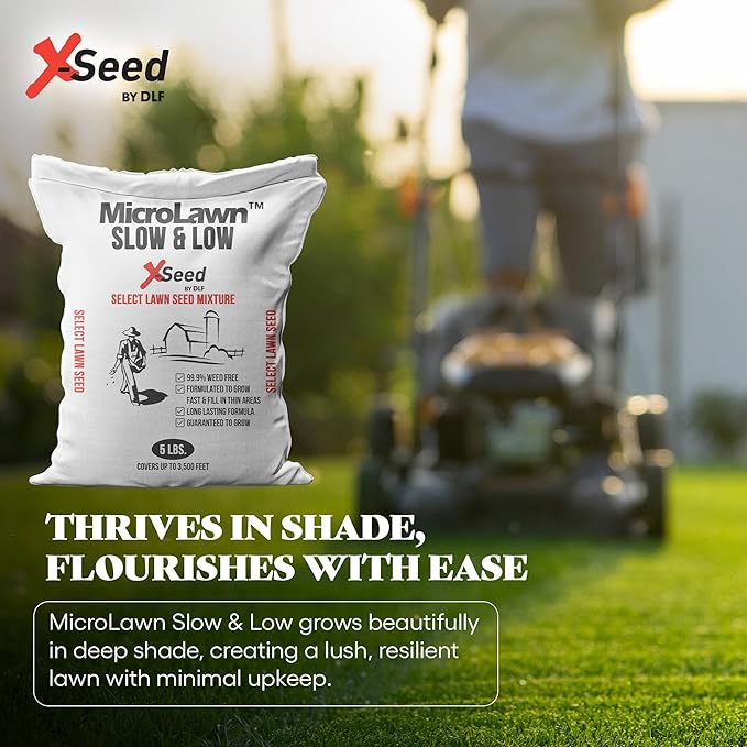 X-Seed Micro-Lawn Slow & Low Grass Seed for Cool Season Lawns, No Mow Natural Areas, Sun to Full Shade, Slow and Low Growing Micro Clover, Creeping Red Fescue, Intermediate Ryegrass, Starter Bag, 5LB