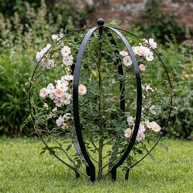 2 PCS Large Metal Trellis Obelisks Sturdy Round Circle Trellis for Climbing Plant Support Indoor Outdoor Potted Vines, Cucumbers & Flowers, Patio Doorway Garden Decor (Black, 25.20 x 21.26'')