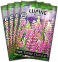 Sow Right Seeds - Russell Lupine Seeds for Planting - Non-GMO Heirloom Packet with Instructions to Plant in Your Garden - Perennial Flower to Attract Hummingbirds and Bees - Spiked Wildflower Mix (4)