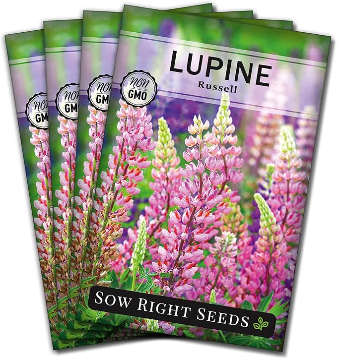 Sow Right Seeds - Russell Lupine Seeds for Planting - Non-GMO Heirloom Packet with Instructions to Plant in Your Garden - Perennial Flower to Attract Hummingbirds and Bees - Spiked Wildflower Mix (4)