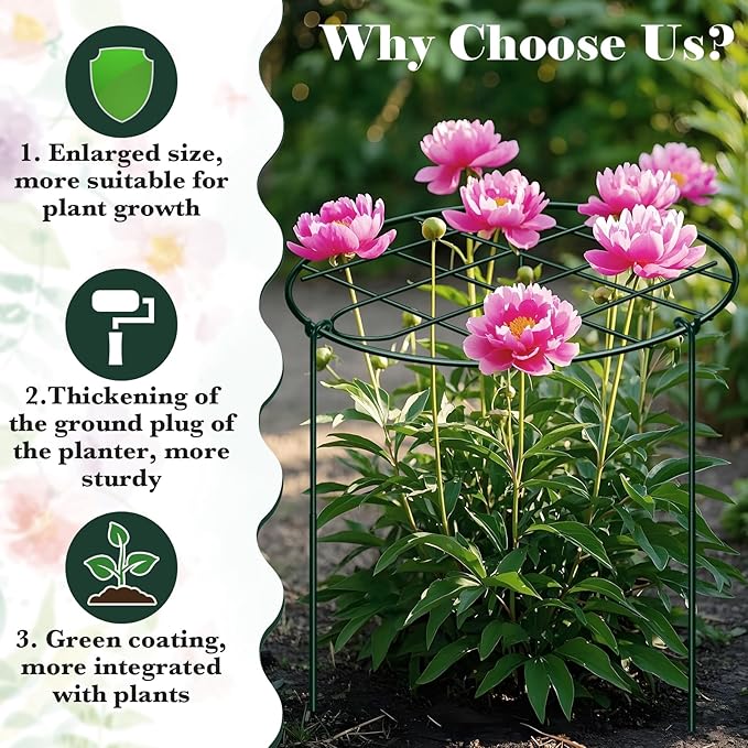 6 Pack 16 x 24 Inch Peony Cages and Supports Grow Through Plant Grid Support,Metal Plant Brace Support Peony Rings Hoops for Outdoor Plants Vegetables,Rose,Tomato,Orchids