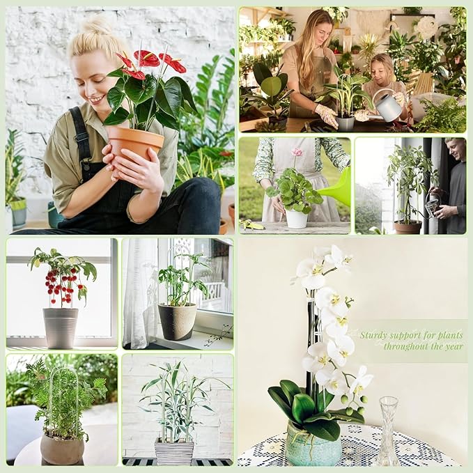 Lancisism 8 Pack Acrylic Plant Trellis for Indoor Climbing Plants, Thickened Clear U-Shaped & Round Small Plant Trellis, Potted Plant Climber Support for Hoya, Pothos, Vine Ivy, Monstera Houseplant