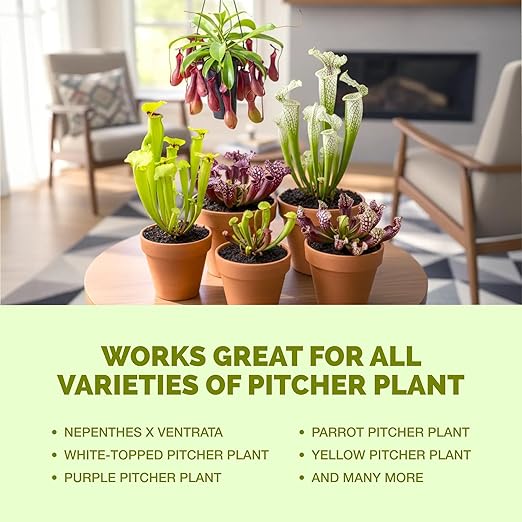 Pitcher Plant Food – Liquid Plant Food for Healthy Pitcher Development, Vibrant Color & Strong New Growth, 32 oz