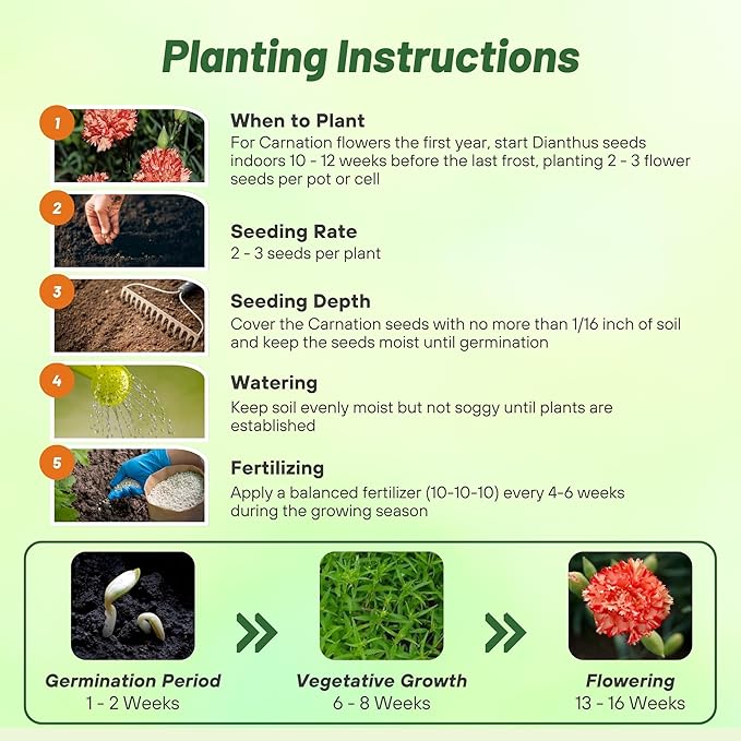 Outsidepride Avranchin Red Carnation Seeds - 2000 Pcs Perennial, Easy to Grow Flower Seeds for Planting with Fragrant Blooms, Ideal for Pollinators, Cutting Gardens, Bouquets, & Floral Arrangements