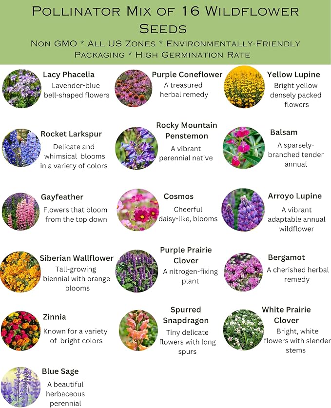 Bumblebee Pollination Bulk Wildflower Seed Mix 1lb Covers 2,000sq-ft - Attract Bumblebees, Multi-Color Blooms - Plant in U.S. in Spring/Summer/Fall - Earth-Friendly Packaging (1/2 Pound)