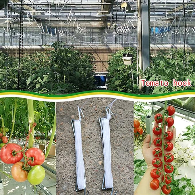 60pcs Tomato Hooks with String, Tomatoes Holder Hooks with 32.8ft Twine & Plant Support Clips, Vegetable Support J-Hook Clips Climbing Vine Crop Trellis Hooks for Vegetable Plant Fruit Flower (White)