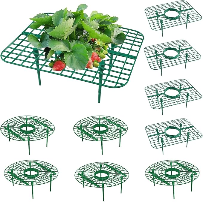 ANGTUO 10 Pack Strawberry Plant Support, Strawberry Support Growing Racks for Keeping Garden(5 Square+5 Round)