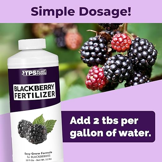 BlackBerry Fertilizer – Liquid Plant Food for Bigger Berries, Better Flowering & Stronger Cane Growth, 32 oz