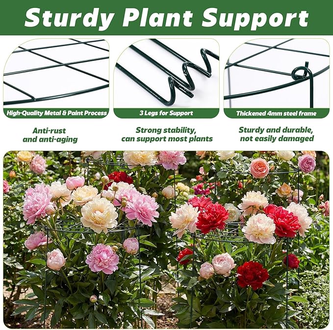4 Pack Round Peony Cages and Supports 12 x 16 Inches (D x H) Grow Through Grid Plant Brace Plant Support Stake Heavy Duty Metal Flower Support Rings for Rose Tomato Hydrangea Strawberry