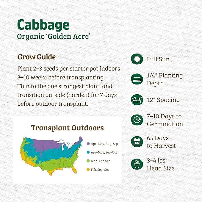 Back to The Roots 100% Organic Heirloom Seeds - Cabbage Value Pack (280mg Total)