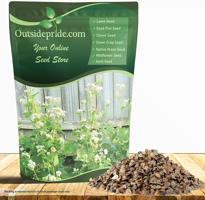 Outsidepride Buckwheat Seeds - 5lbs Annual, Fast-Growing, Easy to Grow Buckwheat Cover Crop Seeds for Green Manure, Bee Pasture & Pollinators, Wildlife Habitat, Soil Improvement, and Erosion Control