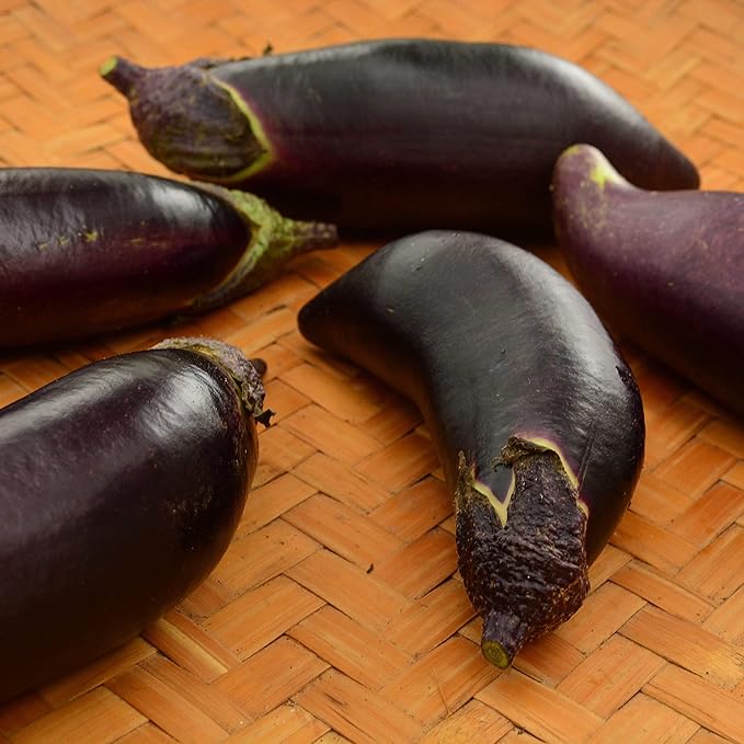 Fengyuan Purple Eggplant - 25 Seeds - Heirloom & Open-Pollinated Variety, USA-Grown, Non-GMO Vegetable Seeds for Planting Outdoors in The Home Garden, Thresh Seed Company