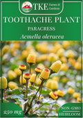 TKE Farms & Gardens - Toothache Plant Seeds for Planting, 1000 Non-GMO Heirloom Buzz Button Seeds, Electric Daisy, Szechuan Button, Includes Easy Growing Instructions, 250mg Packet, Qty 1