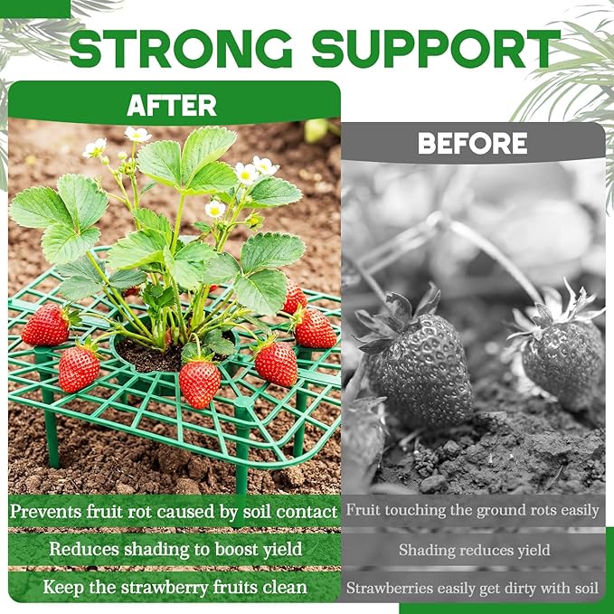 12 Sets Square Strawberry Plant Support with Mesh Plant Cover, Strawberry Growing Kit with Iron Nails for Garden Vegetables Keep Berries Clean