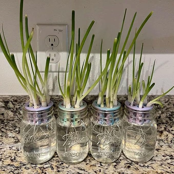 Green Onion Grow for Mason Jar Lid of 6cm,Minimal Kitchen Garden Propagation Station,3D Printed Easy Hydroponic Insert White