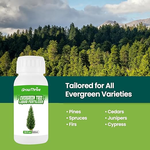 Evergreen Tree Liquid Fertilizer – Natural Probiotic Plant Food for Healthy Evergreen Growth – 10 oz Concentrate – Promotes Greener Leaves, Strong Roots & Soil Health