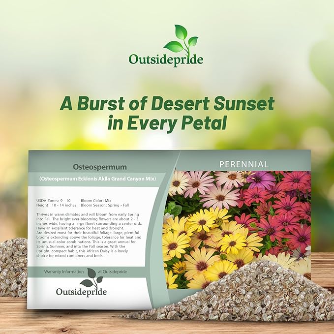Outsidepride Grand Canyon Mix Osteospermum African Daisy Seeds - 10 Pcs. Perennial Flower Seeds for Planting Outdoors with Long-Lasting Blooms, Drought-Tolerant, Easy to Grow for Sunny Garden & Border